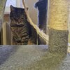 *alt_photos_gallery_image_3*