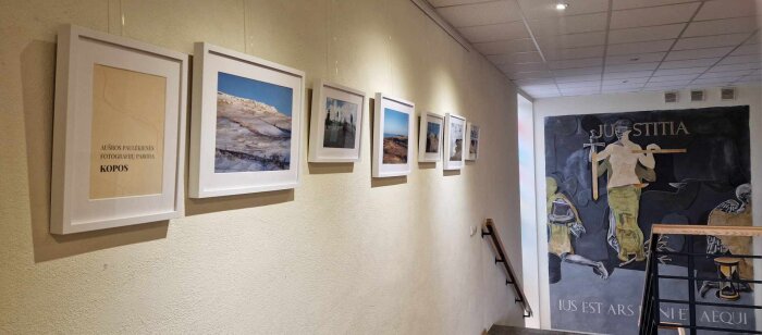 Alytaus apylinkės teisme veikia Aušros Paulėkienės fotografijų paroda „Kopos“