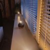 *alt_photos_gallery_image_7*