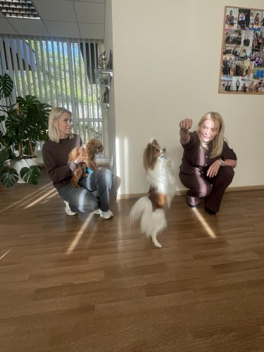 Šuns diena Alytaus apylinkės teisme